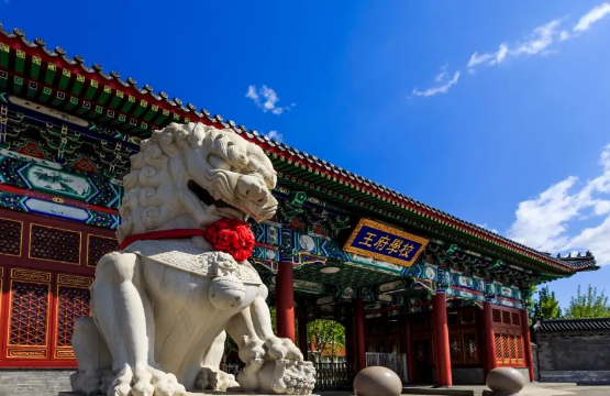 北京王府校區小學部2024年招生簡章