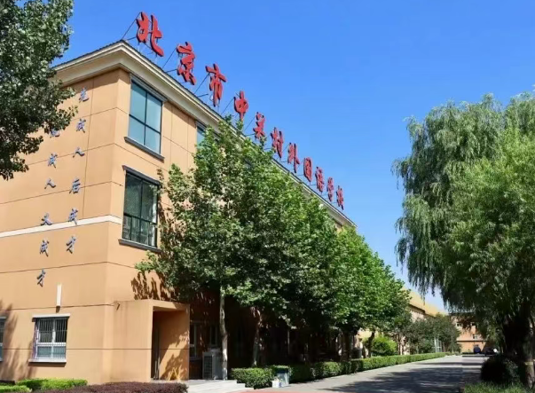 北京市中關村外國語學校中日融合班2025年招生簡章