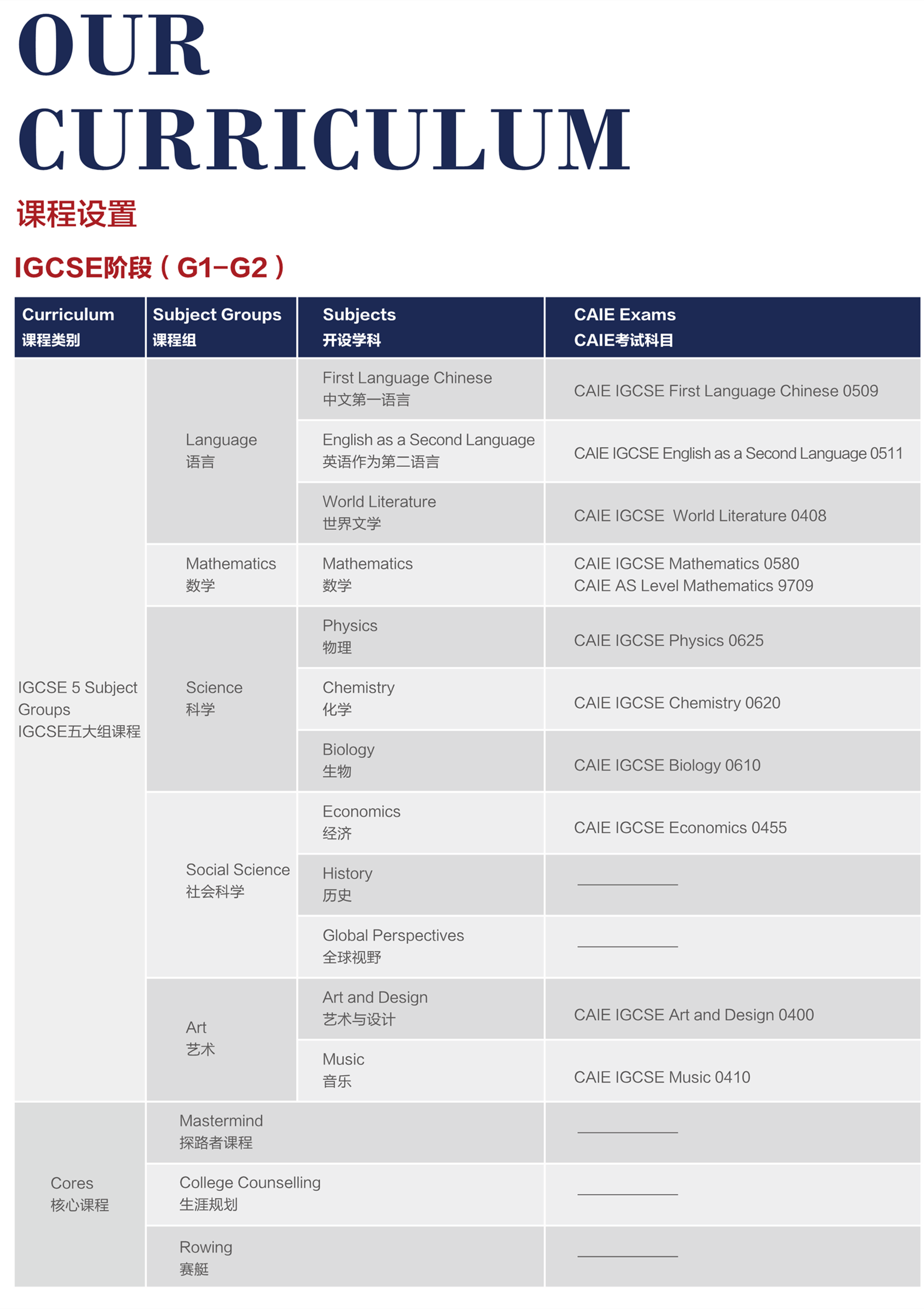 上海德英樂學院開設哪些課程？