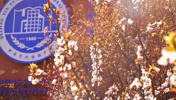 北京市新府學外國語學校