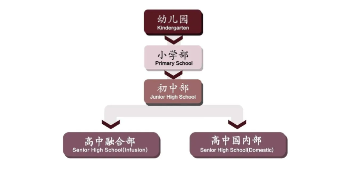 上外附屬杭州學校國際課程各階段介紹