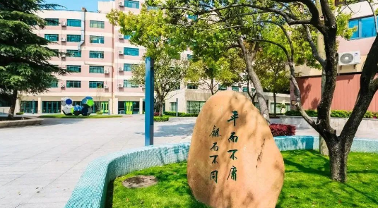 平和哲學、世外二外、WLSA上海菁英課程......盤點上海國際學校“殺手锏”課程！