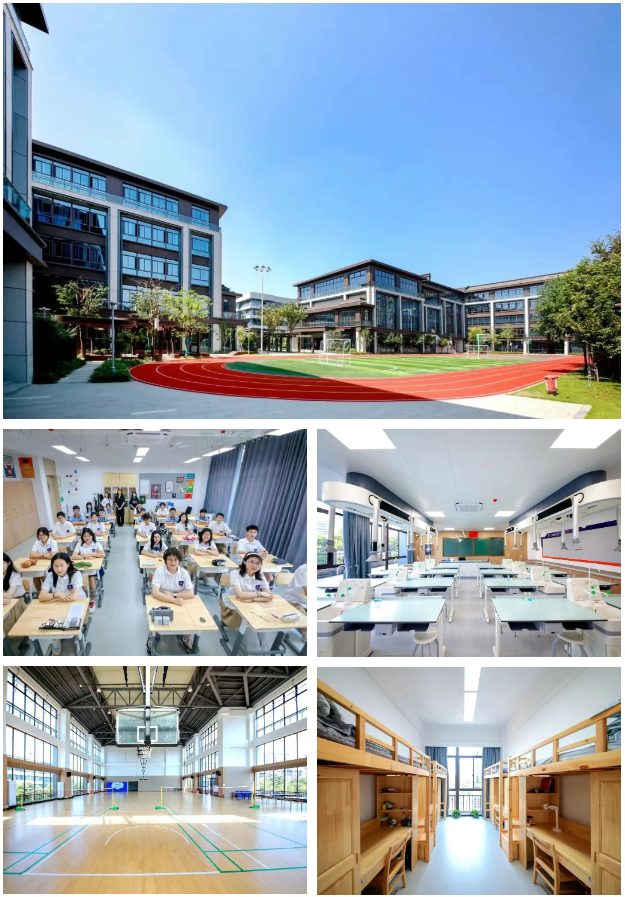 杭州維翰學校國際部2025年秋季招生簡章！