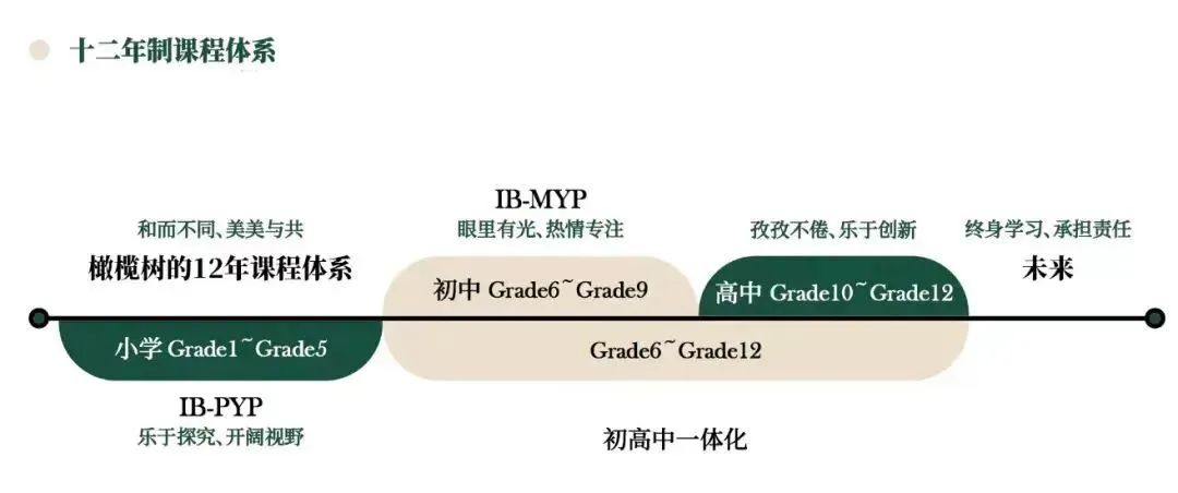 杭州橄欖樹學校課程深度剖析