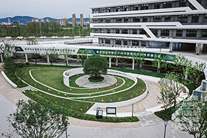 南京金地未來學校藝術班有哪些課程？