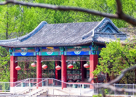 橘郡國際學校(北京校區)招生簡章