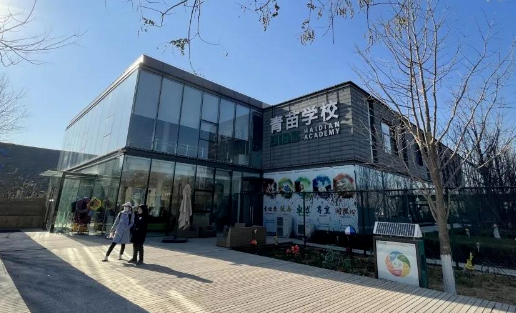 青苗國際雙語學校2023年招生學費是多少？