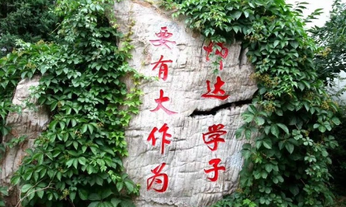 北京市師達中學國際部