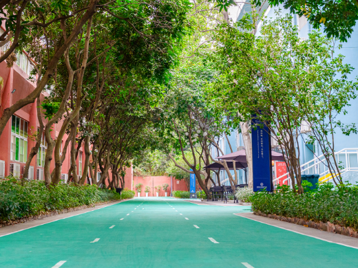深圳市博納學校HKDSE2025招生簡章