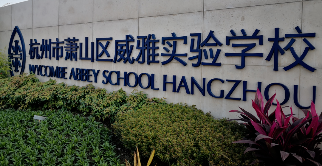 杭州威雅學校2026年春季招生火熱開啟