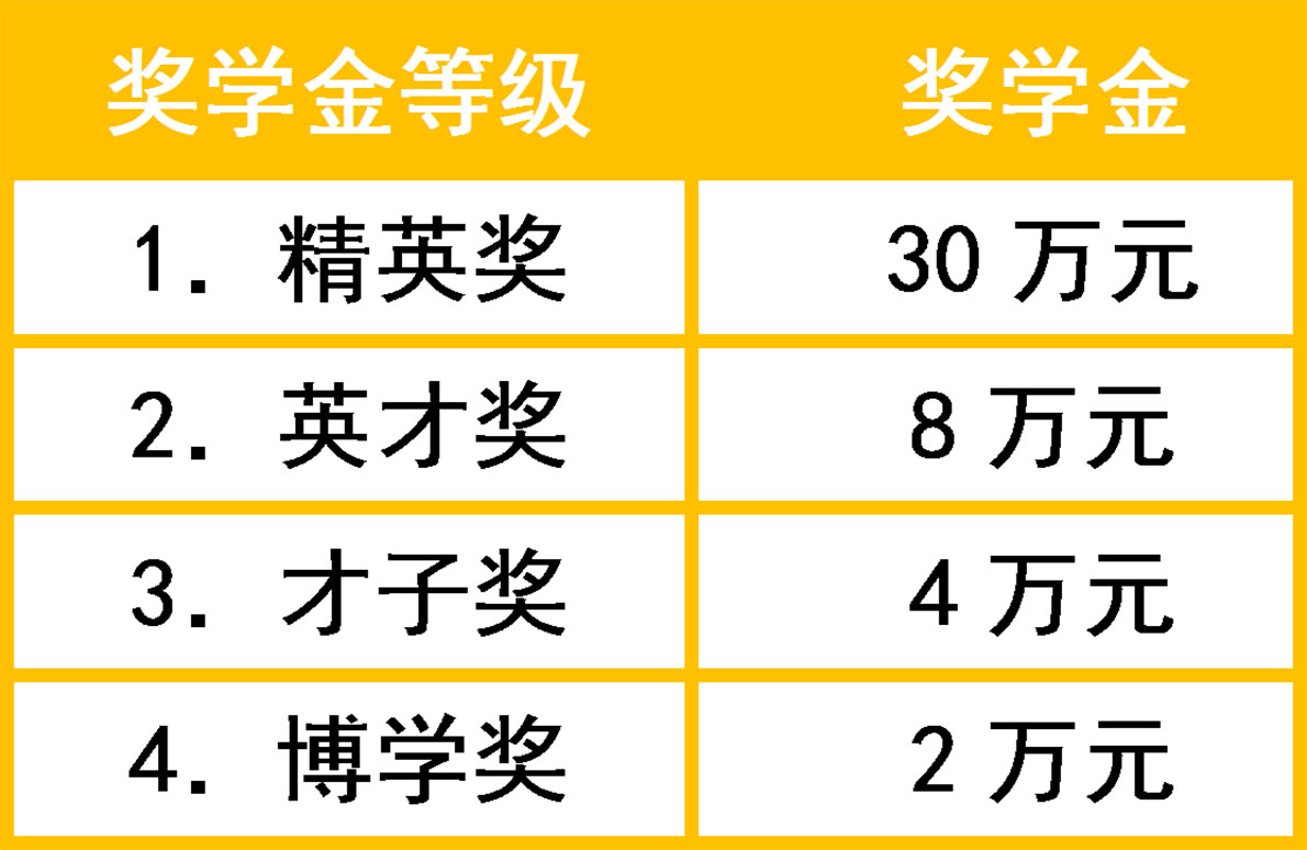 武漢海淀外國語實驗學校國際高中獎學金發放政策