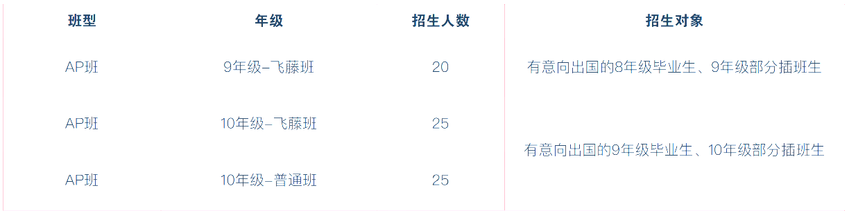 武漢海淀外國語實驗高中國際部招生信息