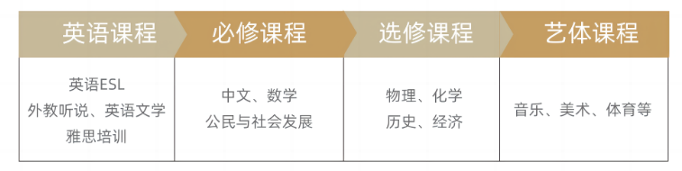 上海市民辦新虹橋中學香港DSE國際課程